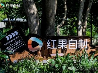 红果自制剧首场编剧沙龙在杭举办，共探短剧创作之道
