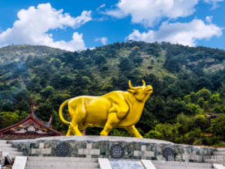 文旅短剧 《窑火照芳华》上线播出 与全国观众一起“看见德化”