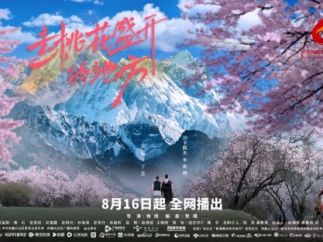 2025前三季度微短剧上大屏CVB收视数据报告