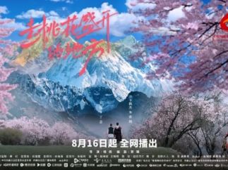 21.6亿人次，94部！微短剧在卫视频道前三季度收视数据报告公布