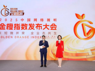中国网络视听金橙指数发布，谁是年度微短剧？